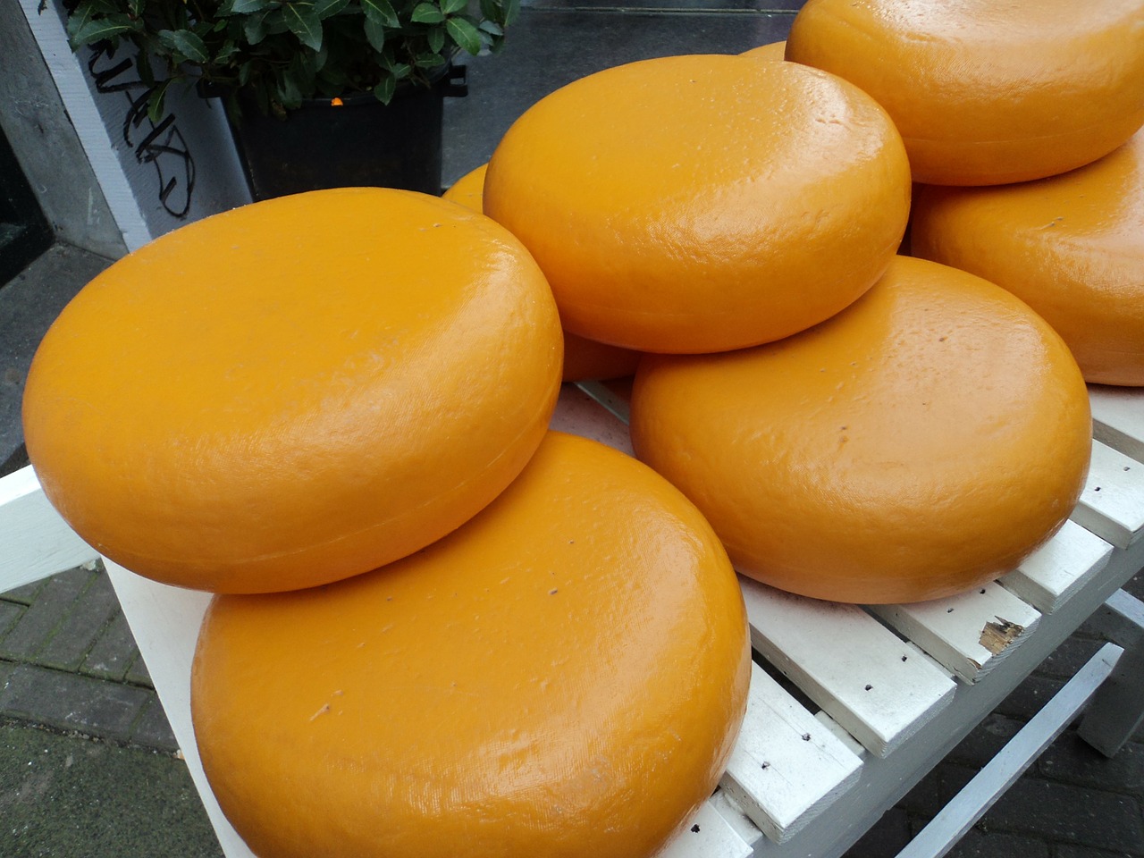 Cheddar-Cheese-Wheels