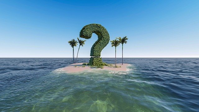 question-mark-bush-on-island