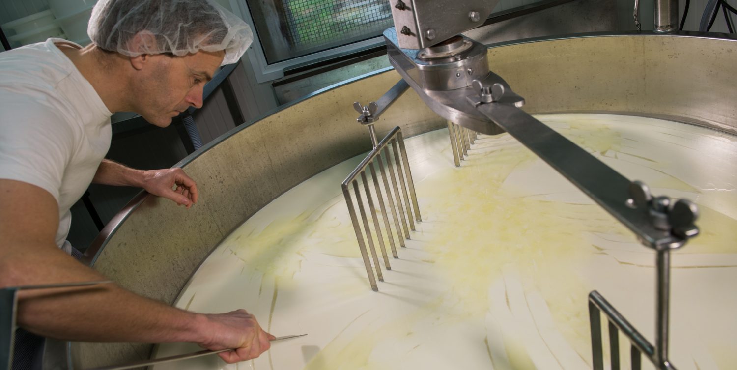 Brie cheese making