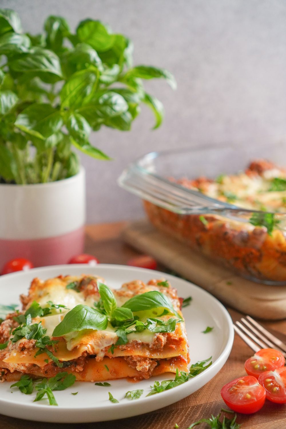 Lasagne with ricotta cheese substitute