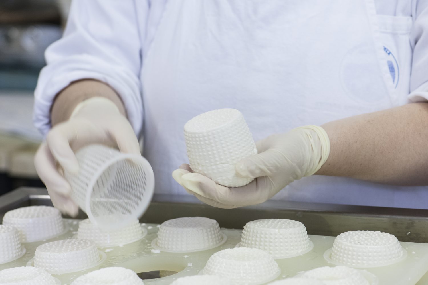 Removing ricotta cheese from molds