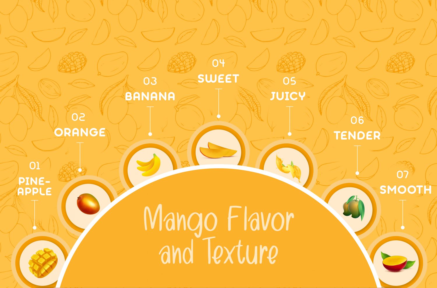 mango-flavor-infographic