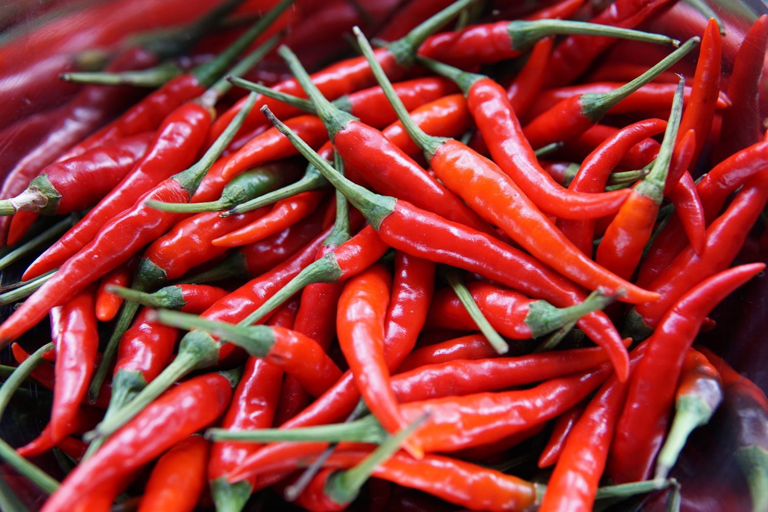 red-chilis