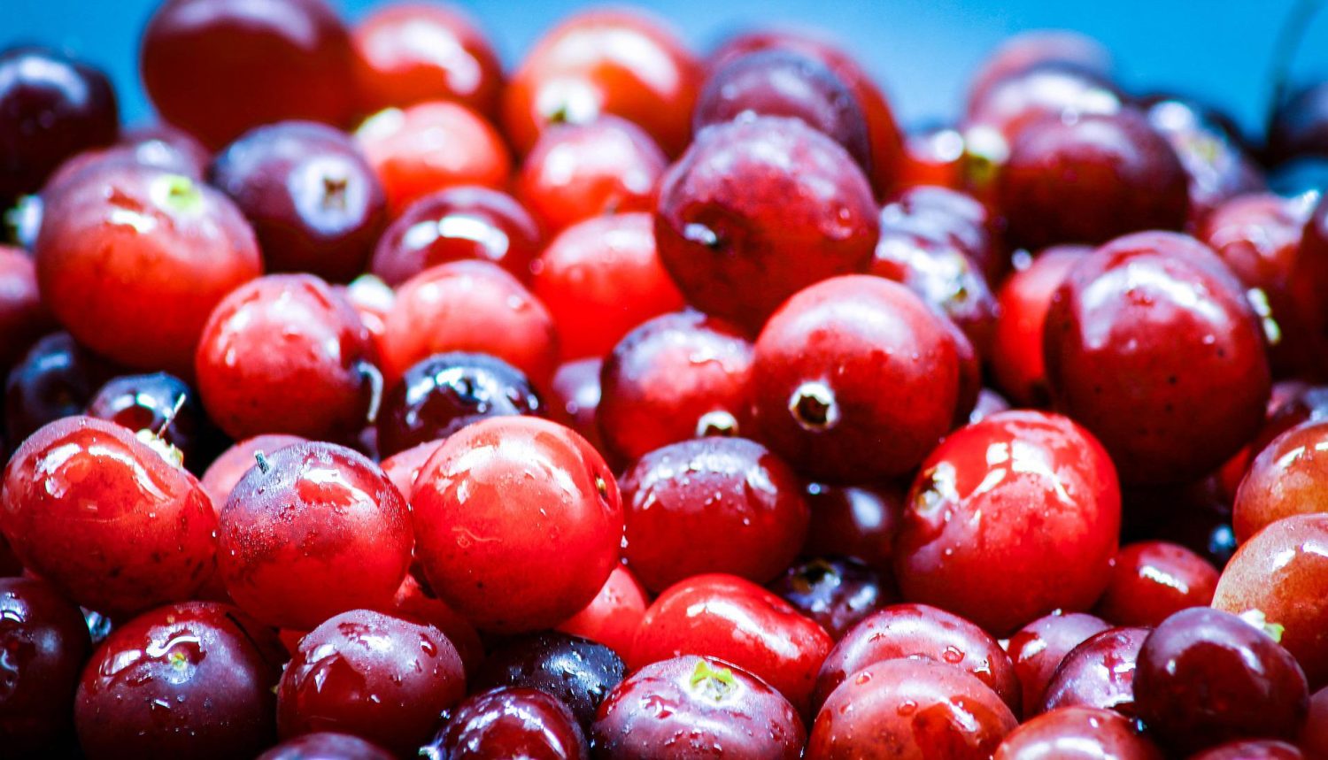 close-up-cranberries