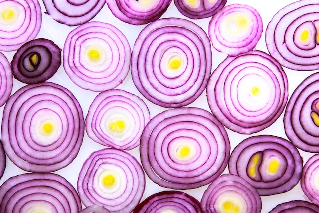 spanish onion substitutes