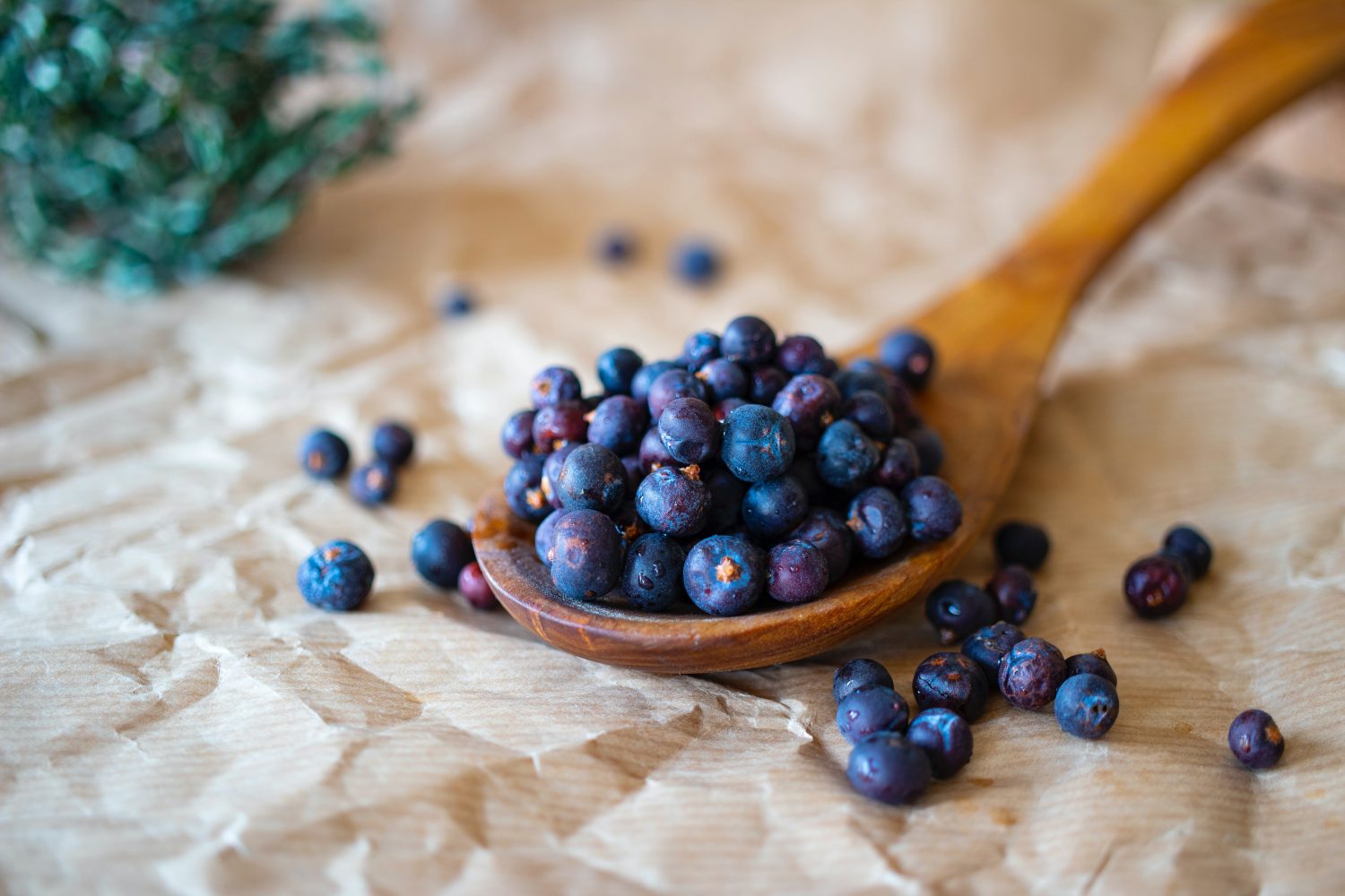 blueberries-on-wooden-spoon