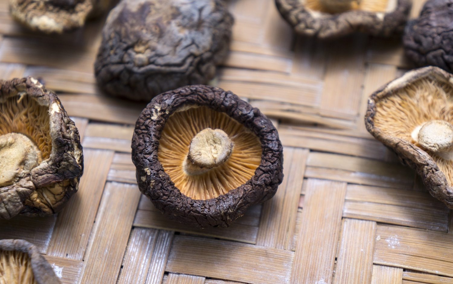 dried-shiitake-mushrooms