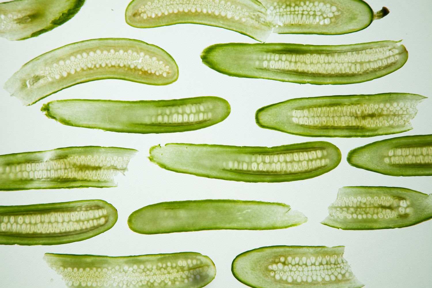 sliced-pickles