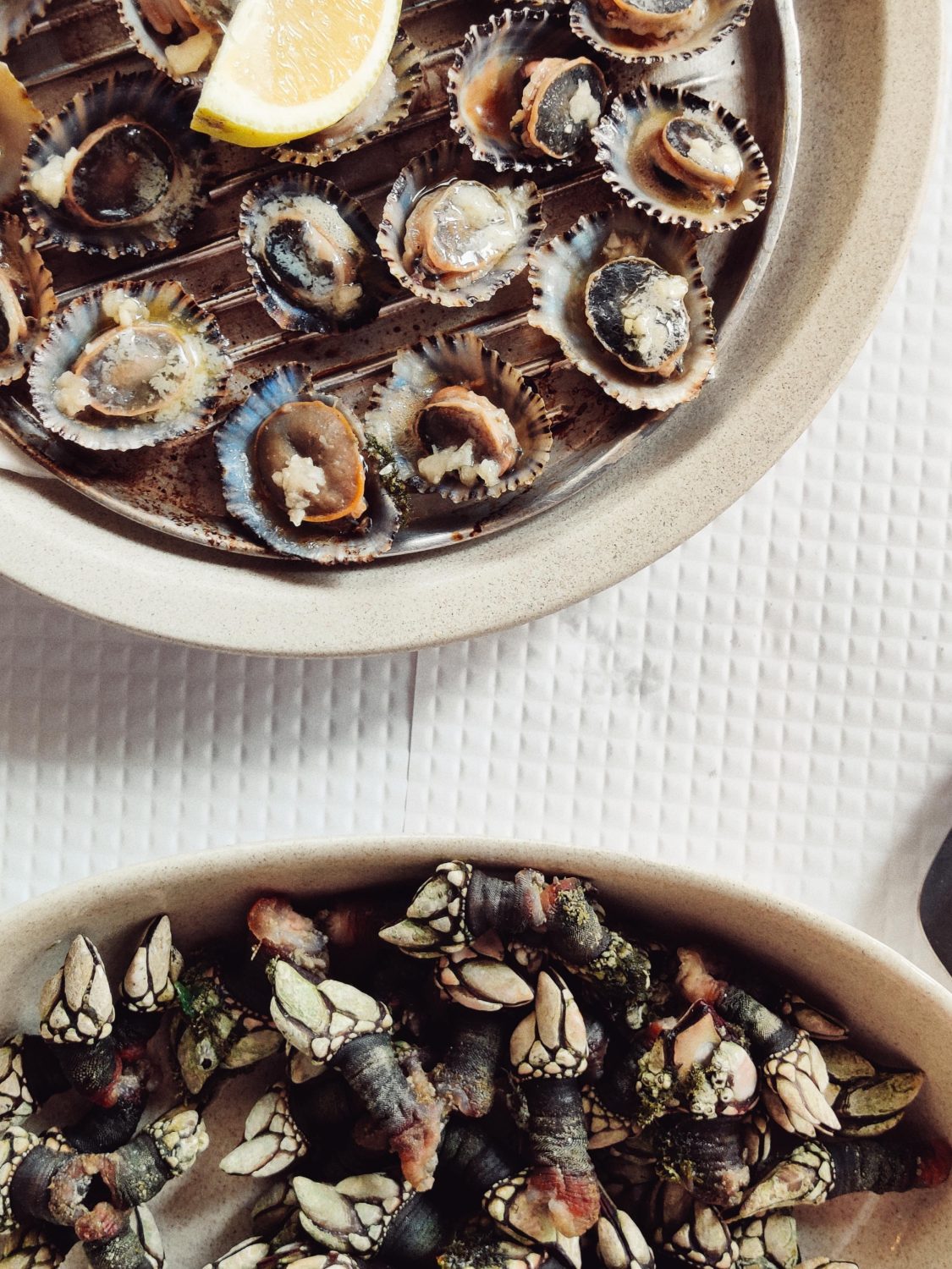 bowl-of-barnacles