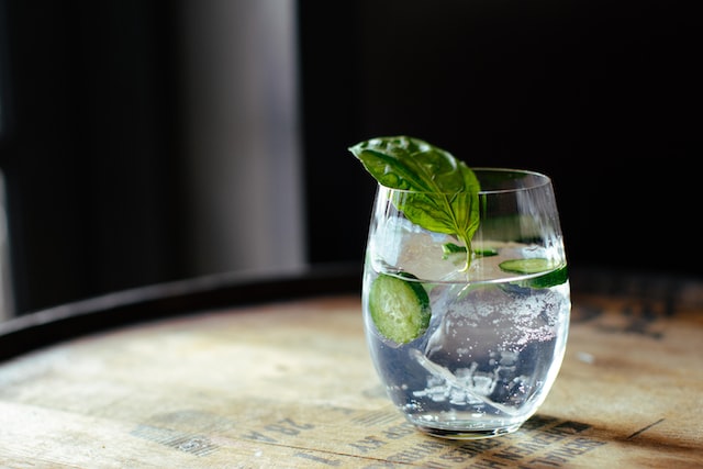 gin and tonic with lime and mint