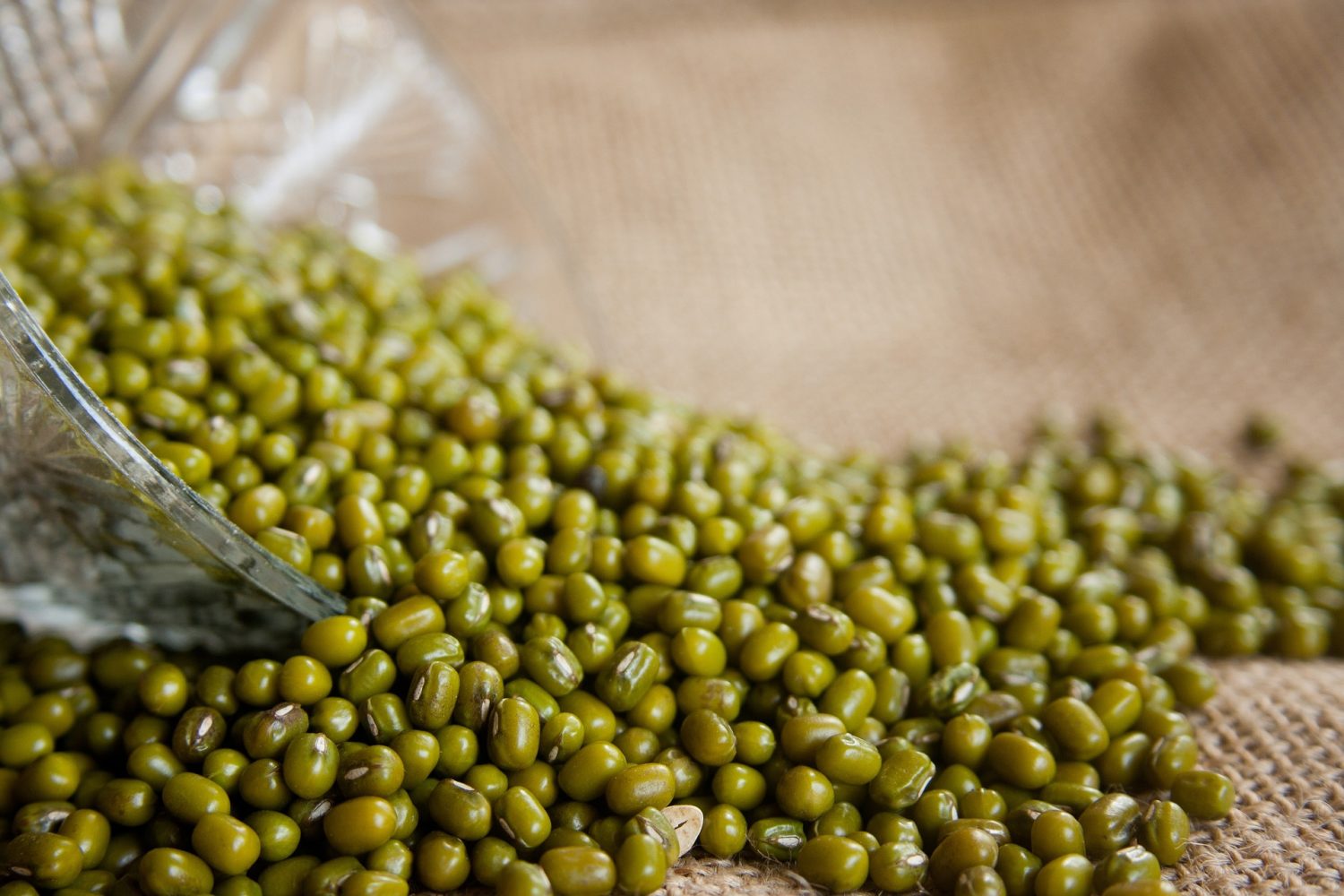 green-moong-beans