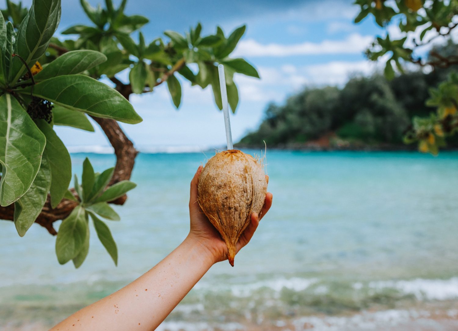 coconut-with-straw-and-ocean-background