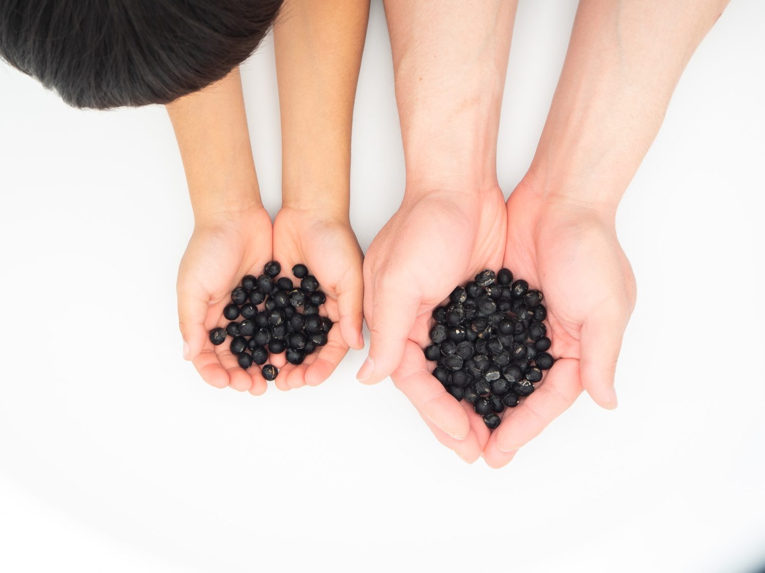 two-sets-of-hands-holding-black-soybeans