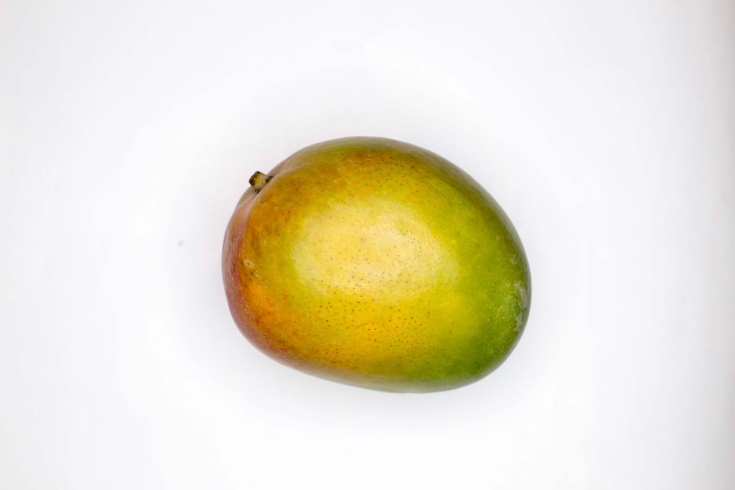 mango-on-white-background