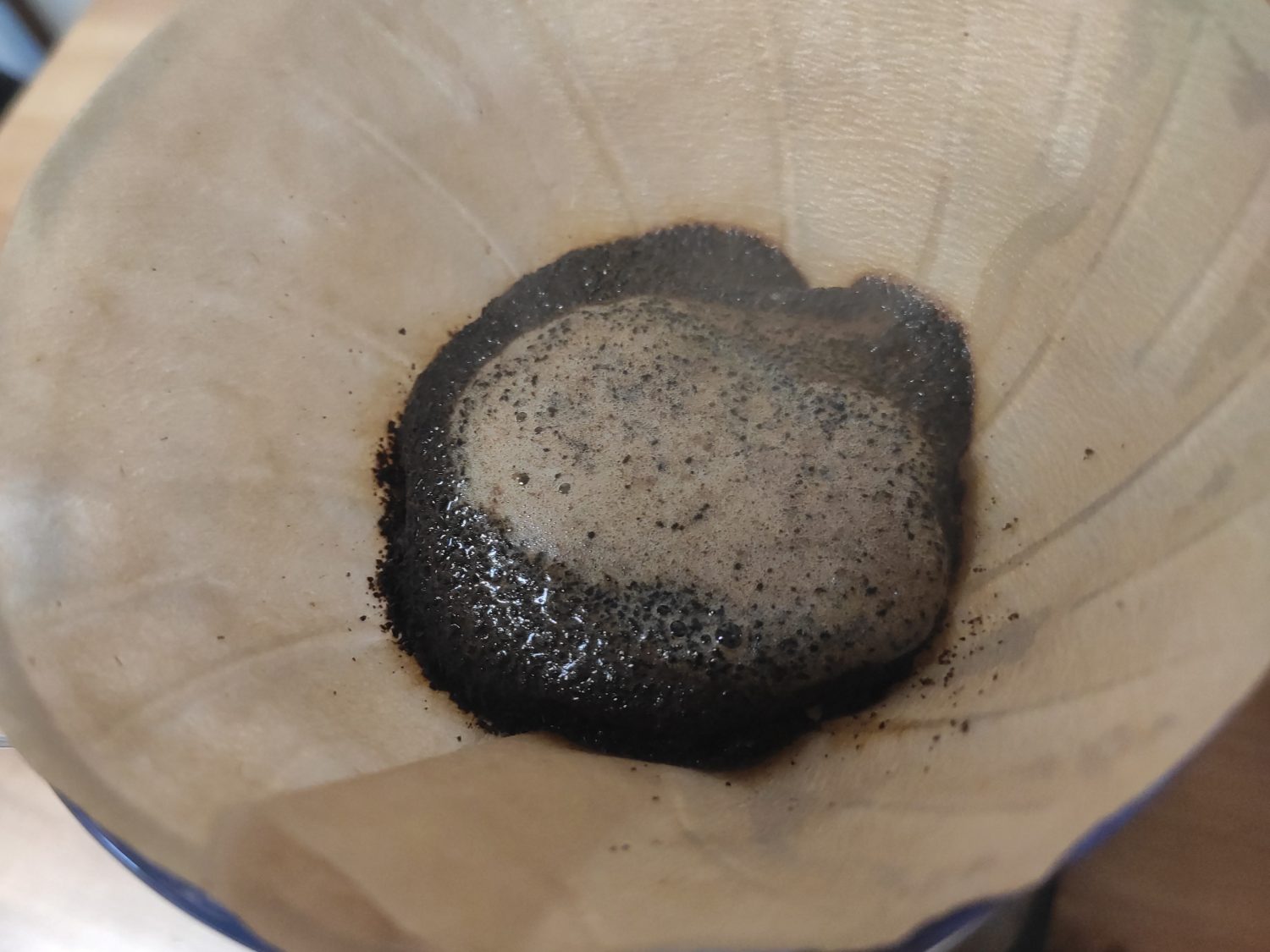 coffee-blooming-in-pour-over-filter