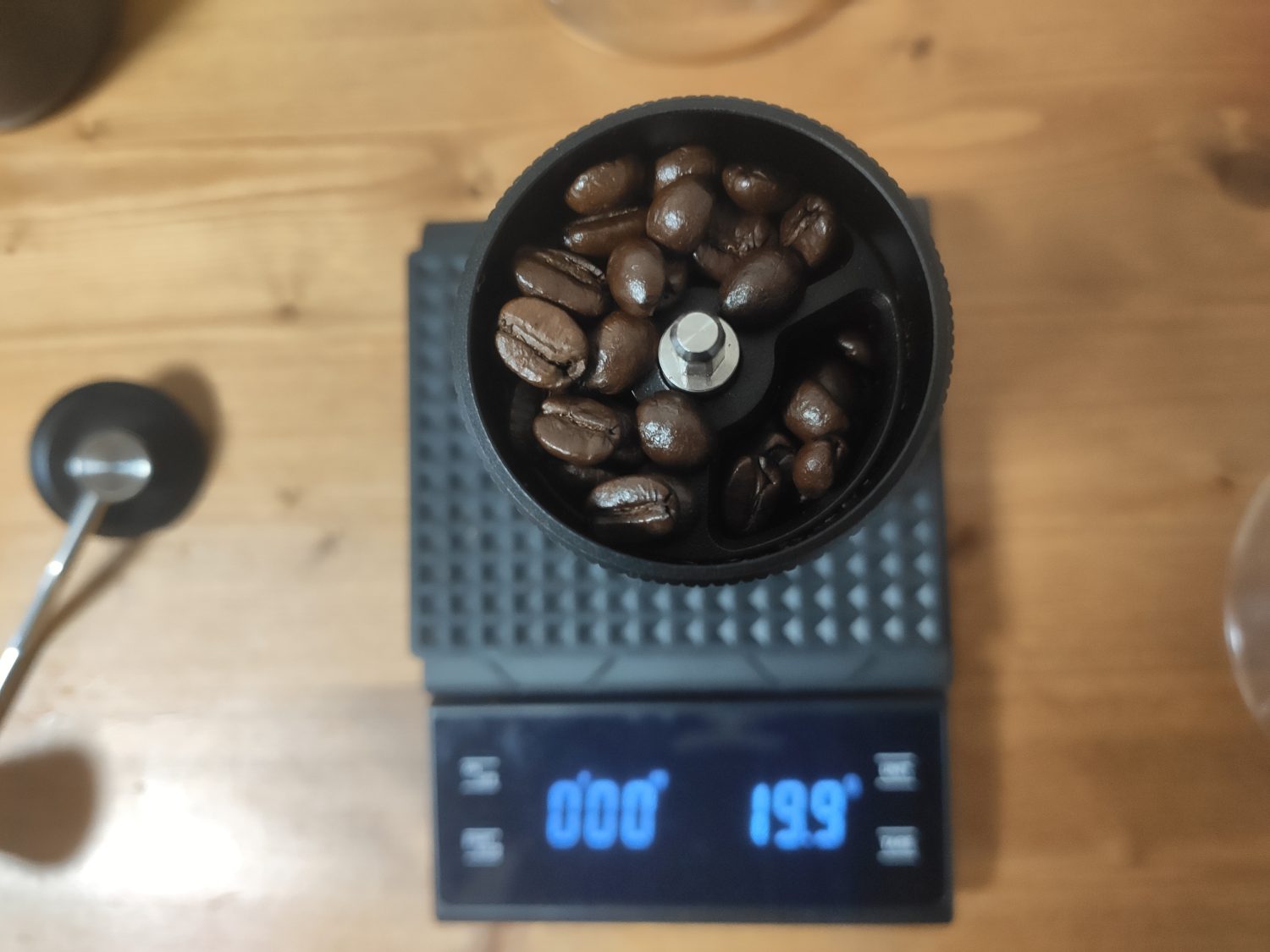 top-view-of-beans-in-coffee-grinder